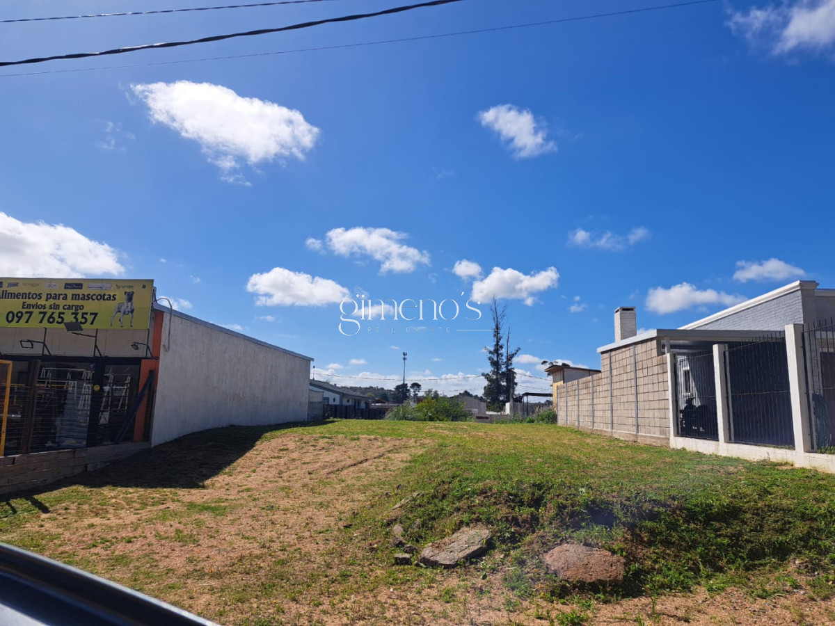 Terreno ID.886 - Vende terreno sobre avenida Leandro Gomez, Maldonado 