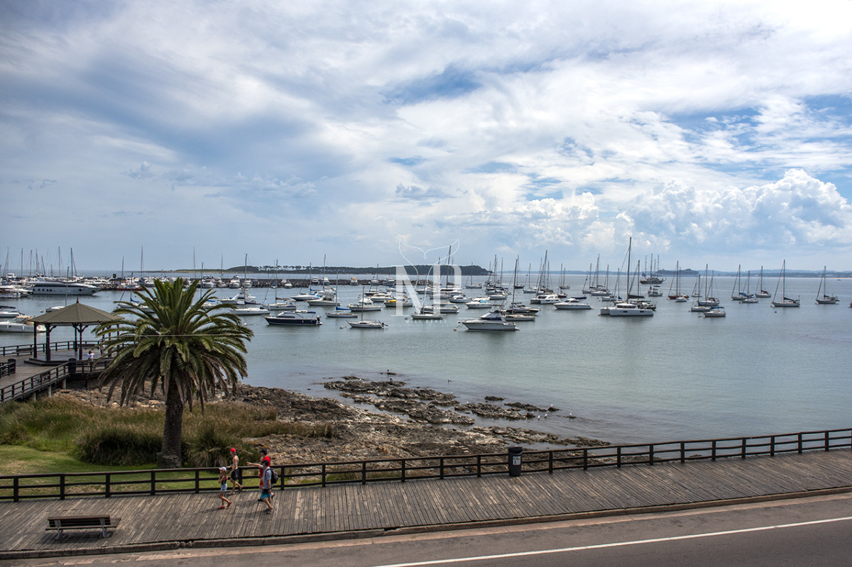 Apartamento ID.65 - Apartamento Único Frente al Mar en Zona Puerto con Piscina Privada.