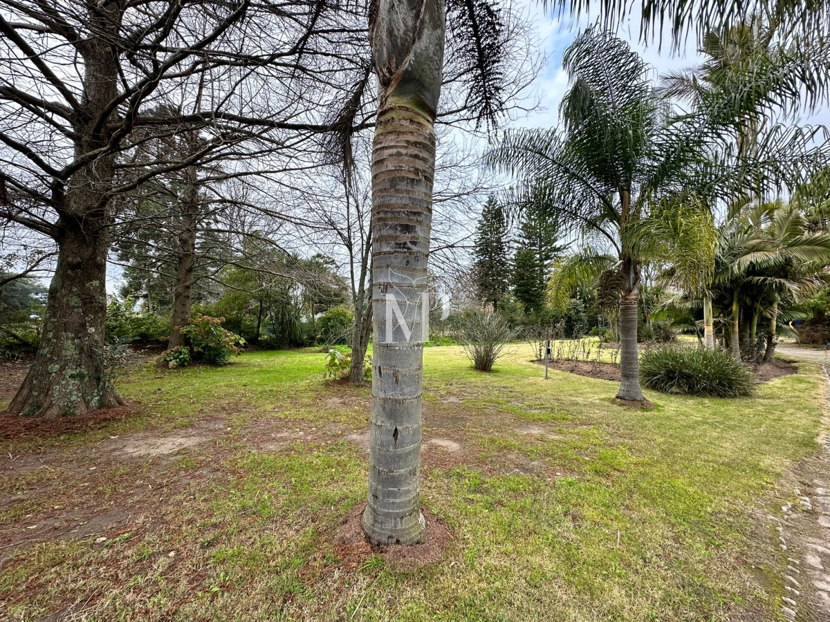 Casa ID.37 - Vende casa de 4 dormitorios con piscina y gran parque en Golf, Punta del Este