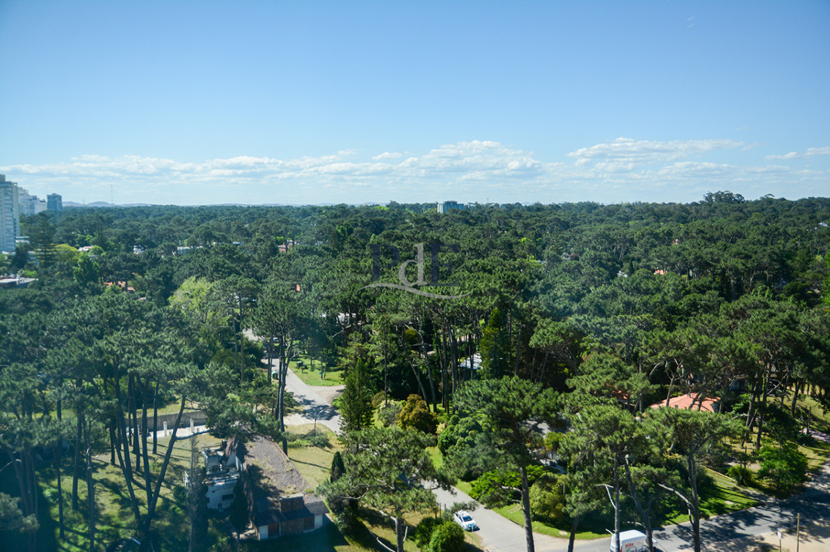 Departamento con linda vista a pasos de Playa Brava - Imagen 21