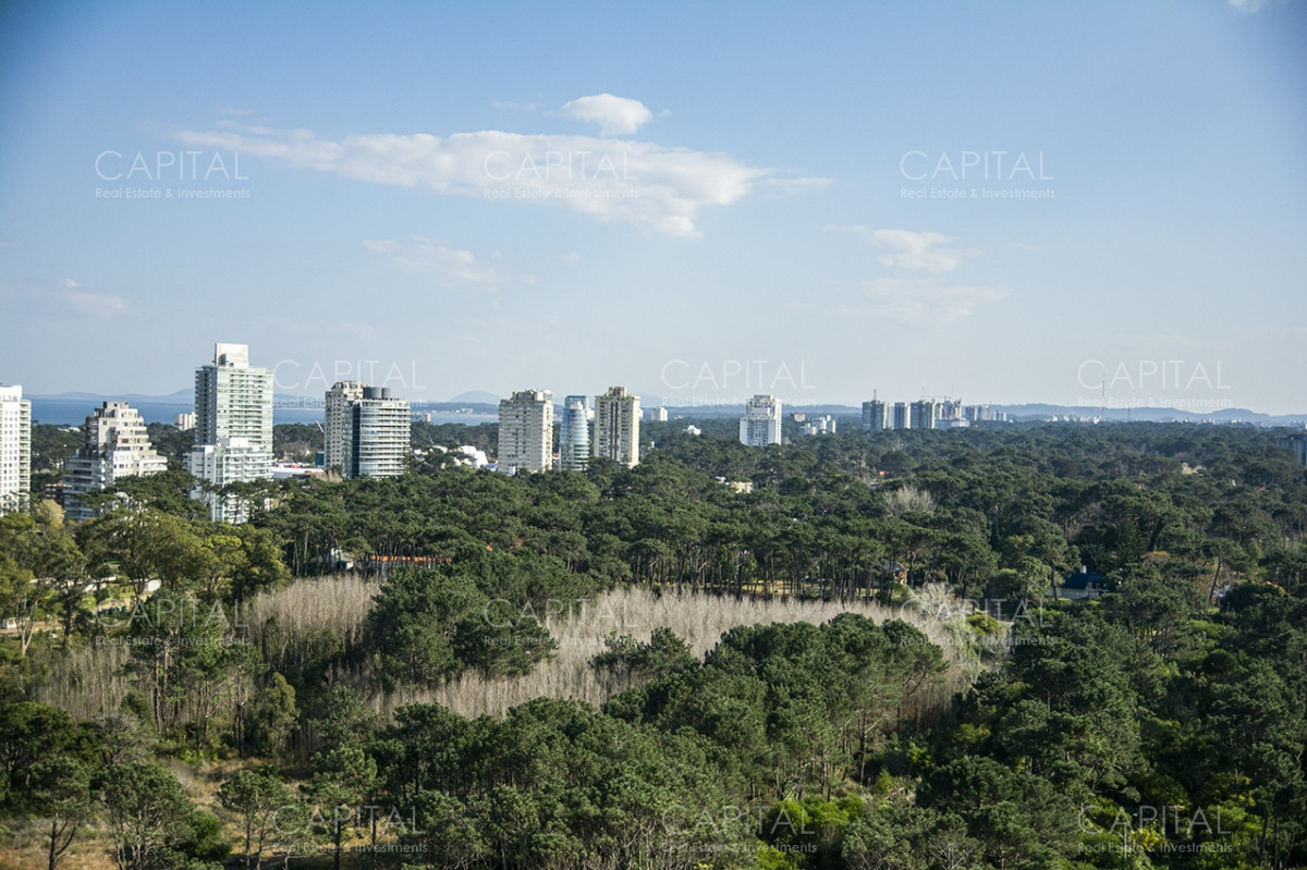 Apartamento ID.33988 - Le Parc III  Punta Del Este