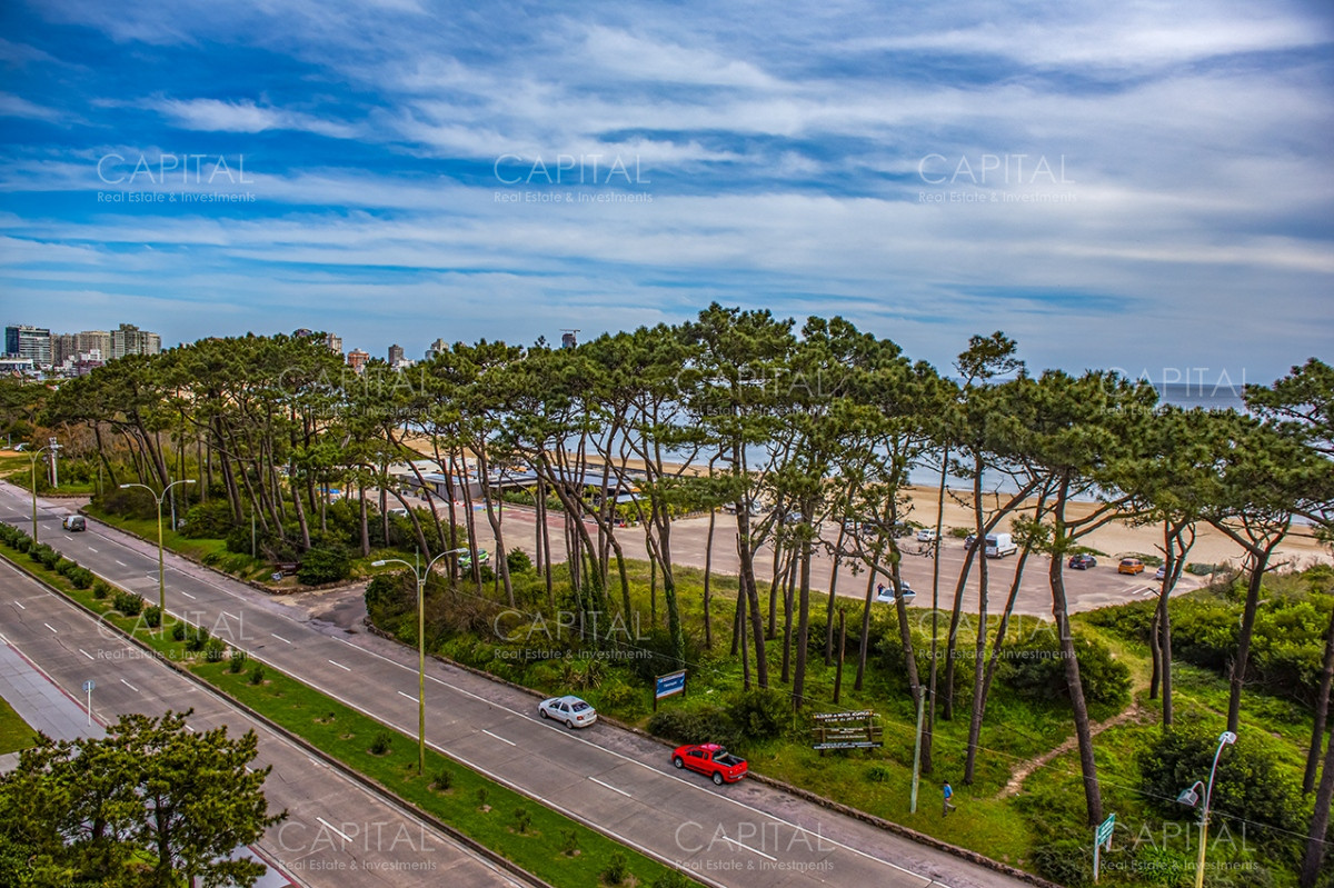 Apartamento ID.32743 - Hermoso Departamento en venta de 3 dormitorios.