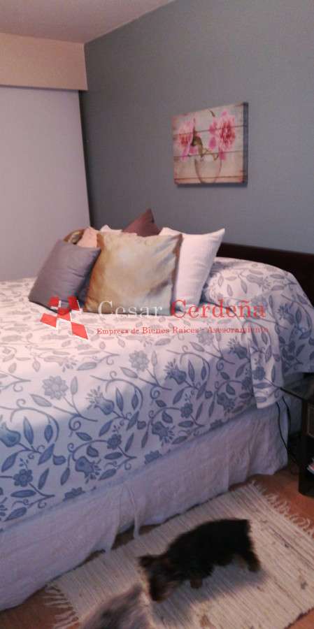 Apartamento ID.1639 - VENTA - Hermoso departamento en venta con agradable vista.