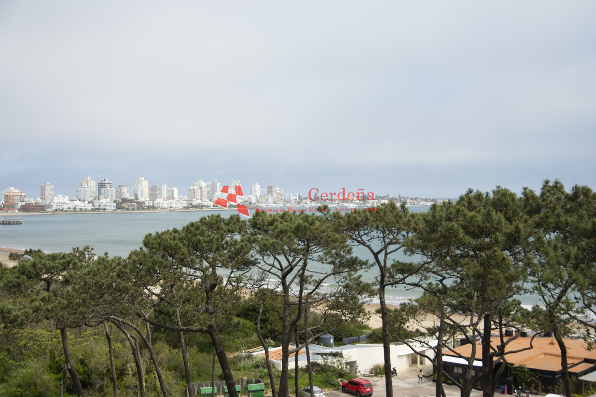 Apartamento ID.1995 - VENTA - Departamento de 3 dormitorios en venta frente al mar, torre emblematica
