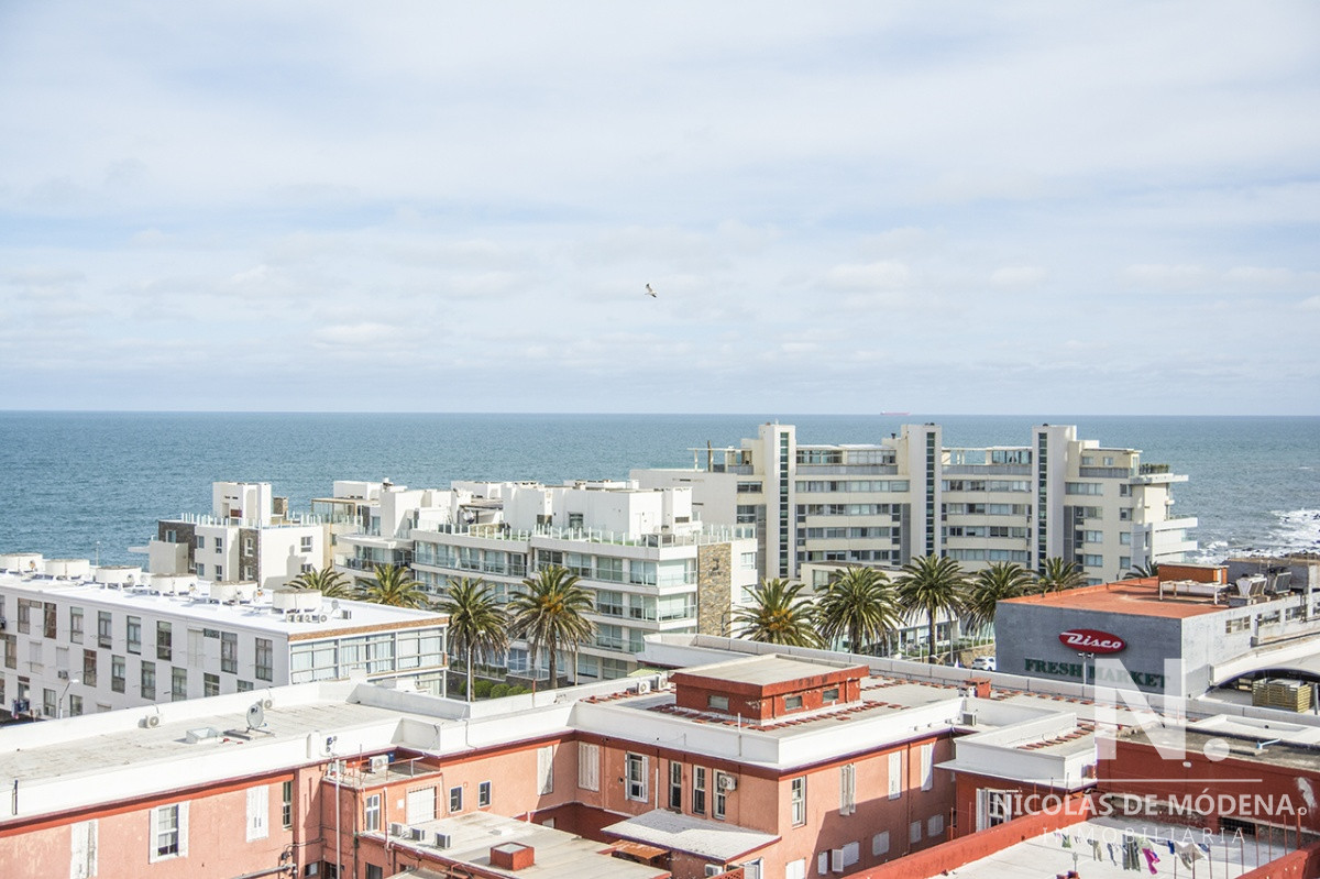Península - GoPunta - Portal Inmobiliario de Punta del Este - Maldonado