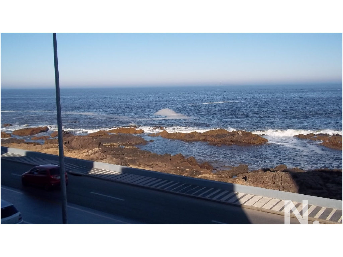 Península - GoPunta - Portal Inmobiliario de Punta del Este - Maldonado