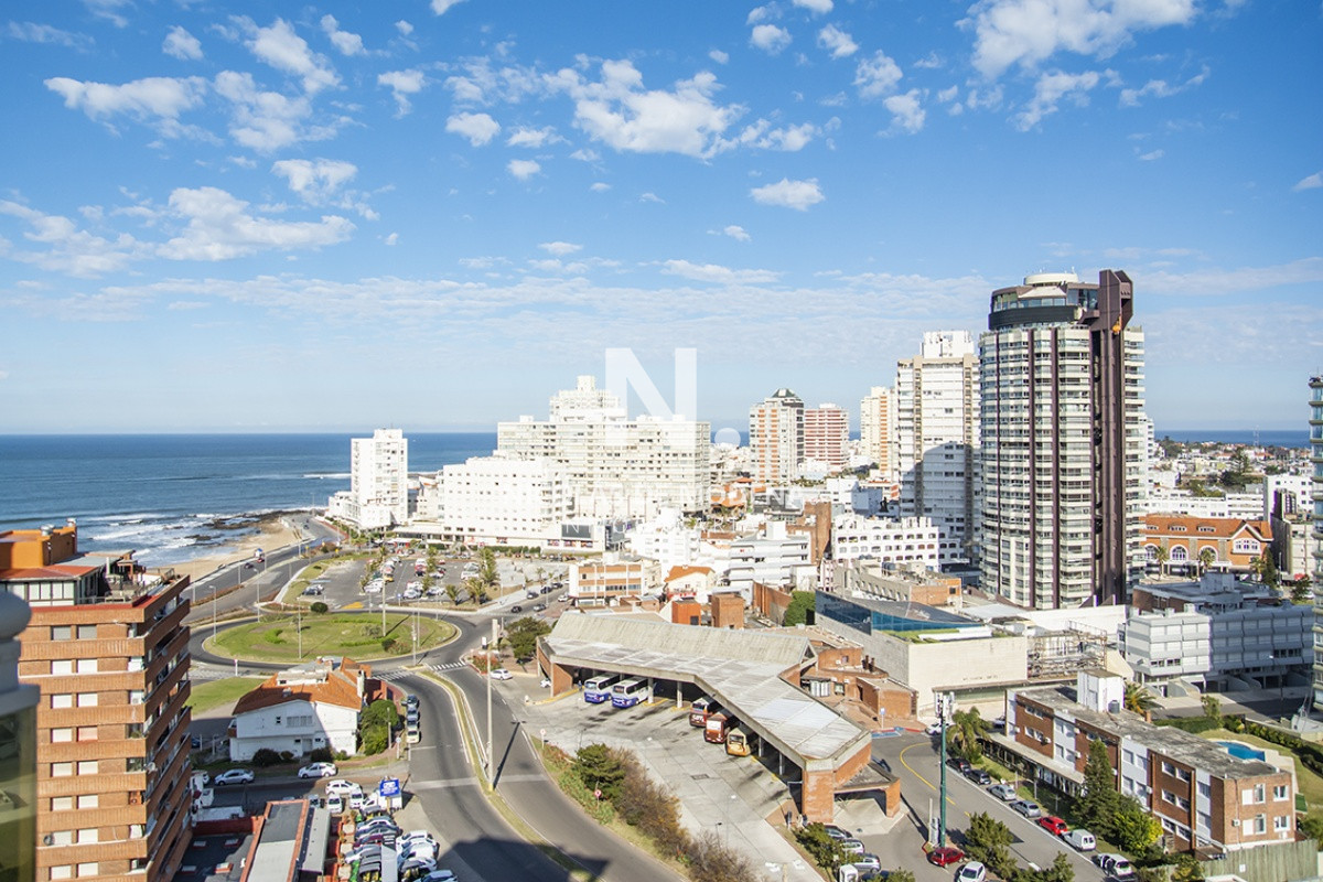 Brava - GoPunta - Portal Inmobiliario de Punta del Este - Maldonado