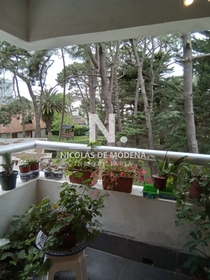 Aidy Grill - GoPunta - Portal Inmobiliario de Punta del Este - Maldonado