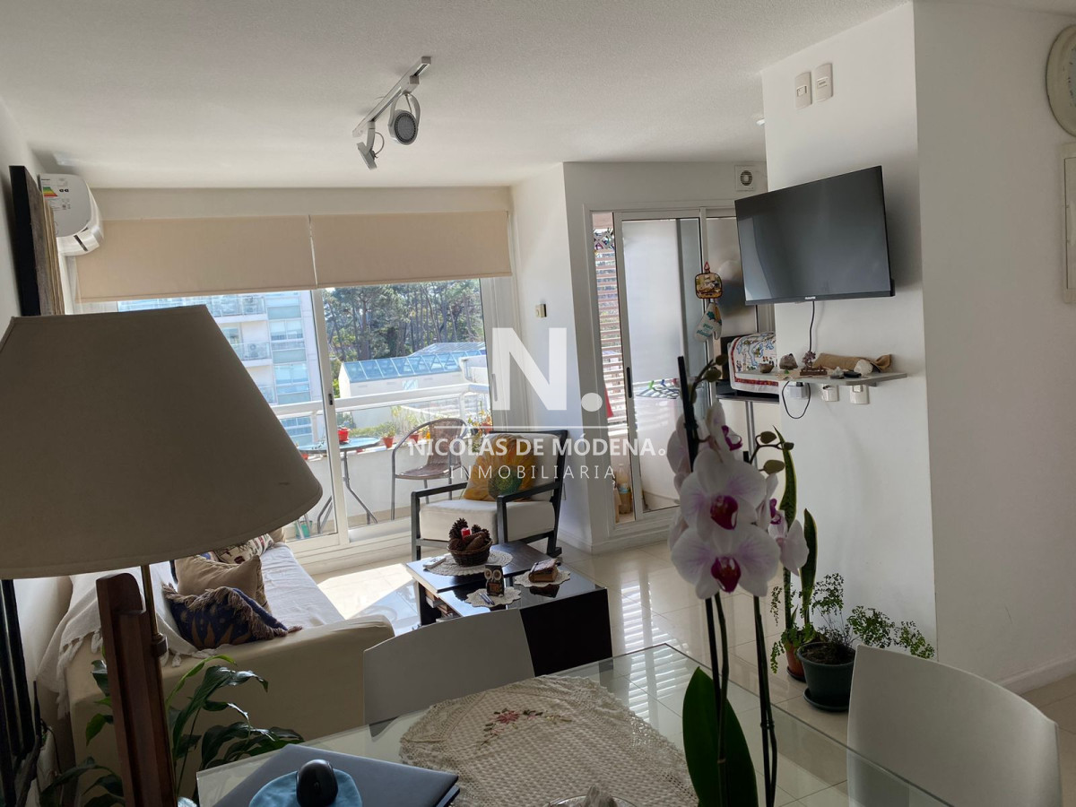 Punta del Este - GoPunta - Portal Inmobiliario de Punta del Este - Maldonado