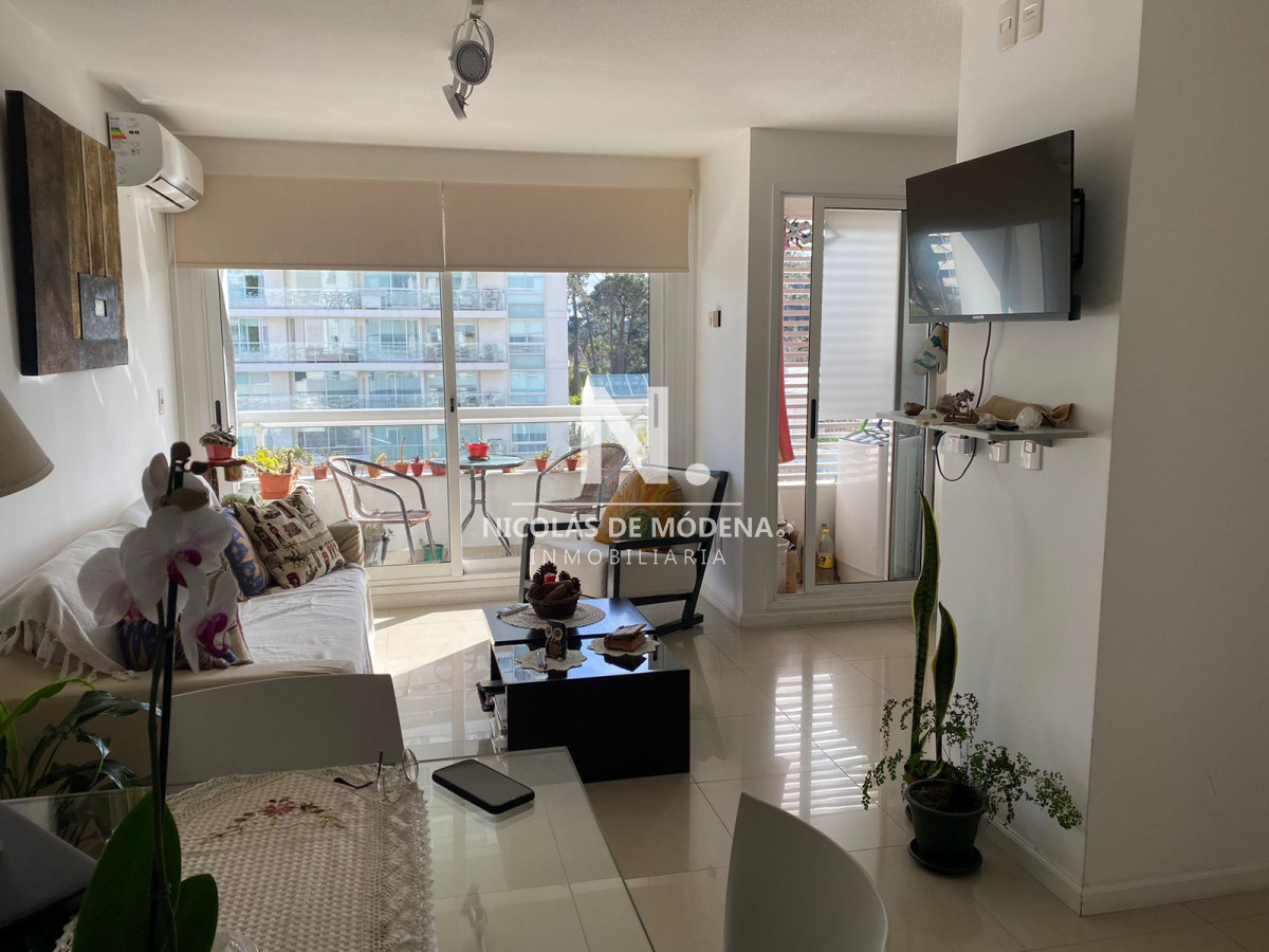 Punta del Este - GoPunta - Portal Inmobiliario de Punta del Este - Maldonado