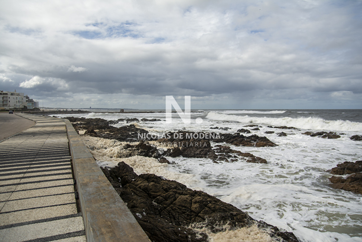 Punta del Este - GoPunta - Portal Inmobiliario de Punta del Este - Maldonado