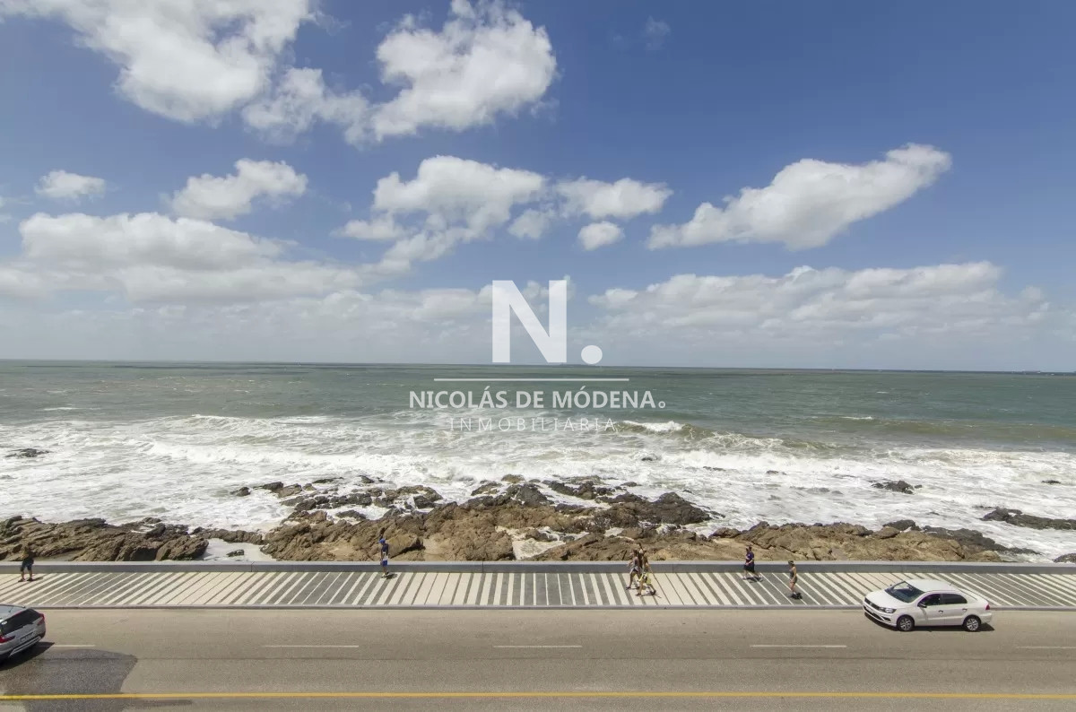 Brava - GoPunta - Portal Inmobiliario de Punta del Este - Maldonado