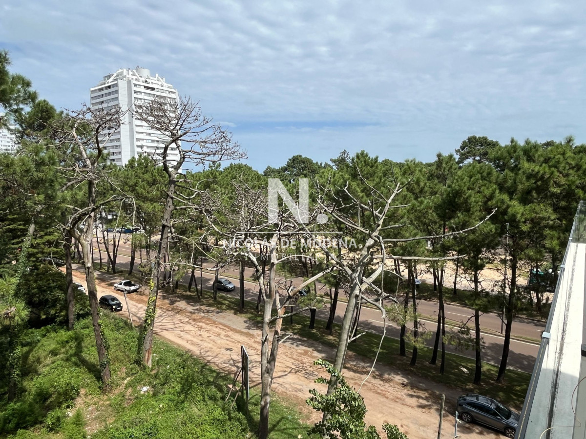 Roosevelt - GoPunta - Portal Inmobiliario de Punta del Este - Maldonado