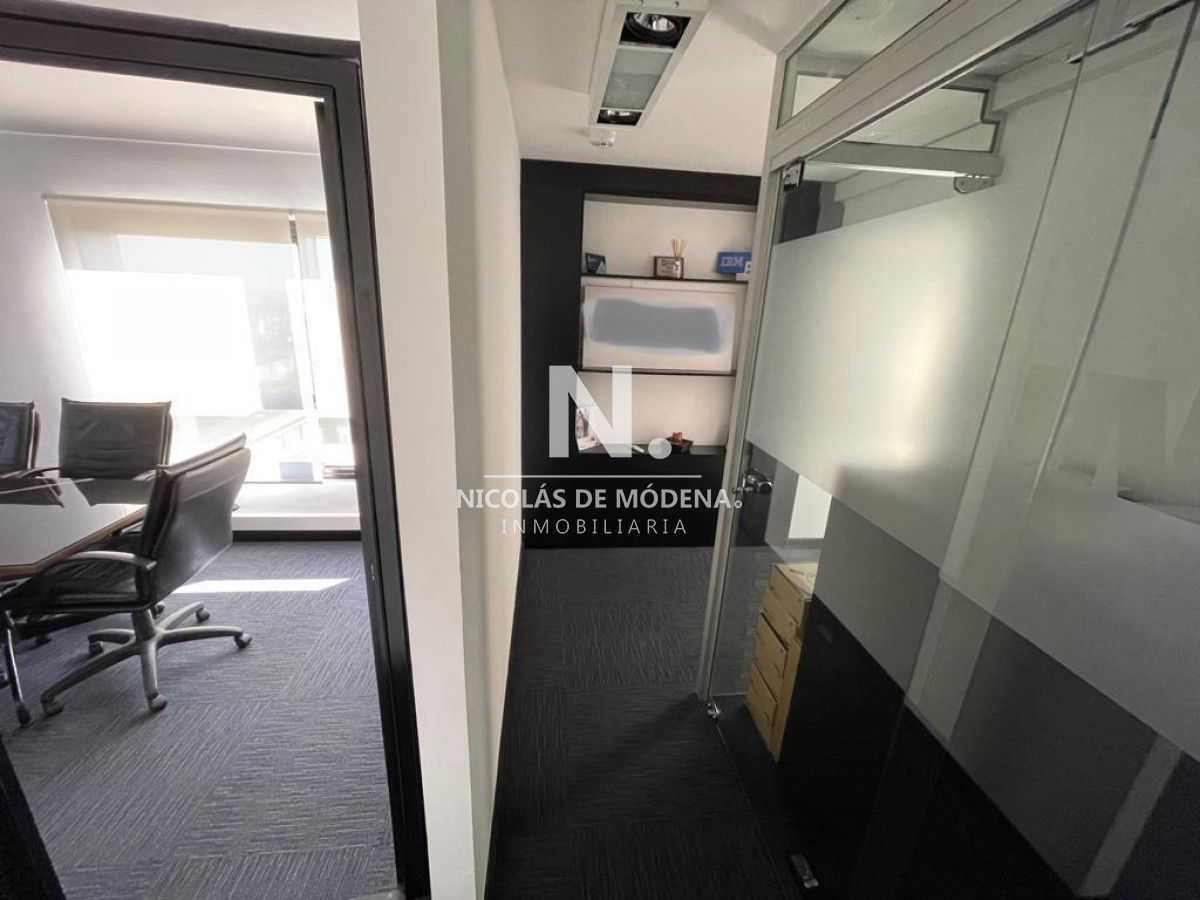 Ciudad Vieja - GoPunta - Portal Inmobiliario de Punta del Este - Maldonado