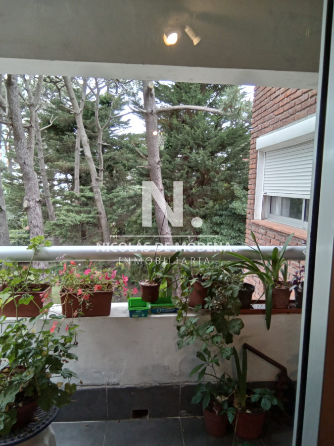 Aidy Grill - GoPunta - Portal Inmobiliario de Punta del Este - Maldonado