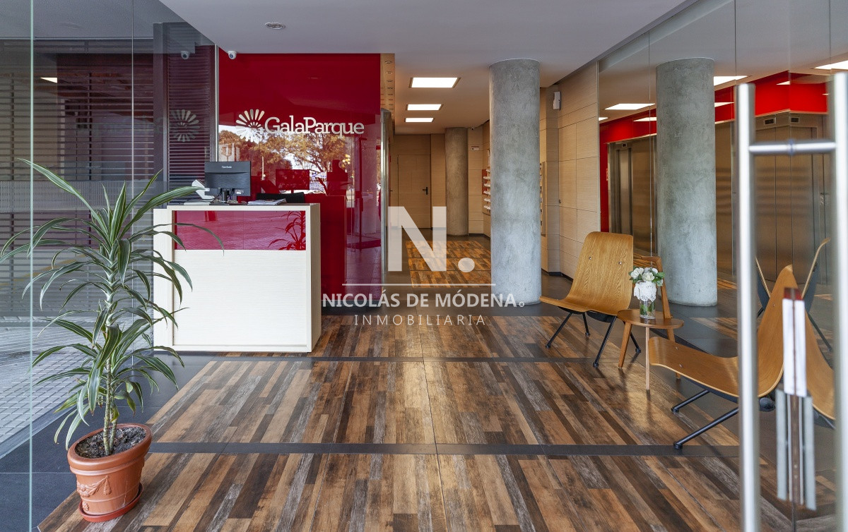 Parque Batlle - GoPunta - Portal Inmobiliario de Punta del Este - Maldonado