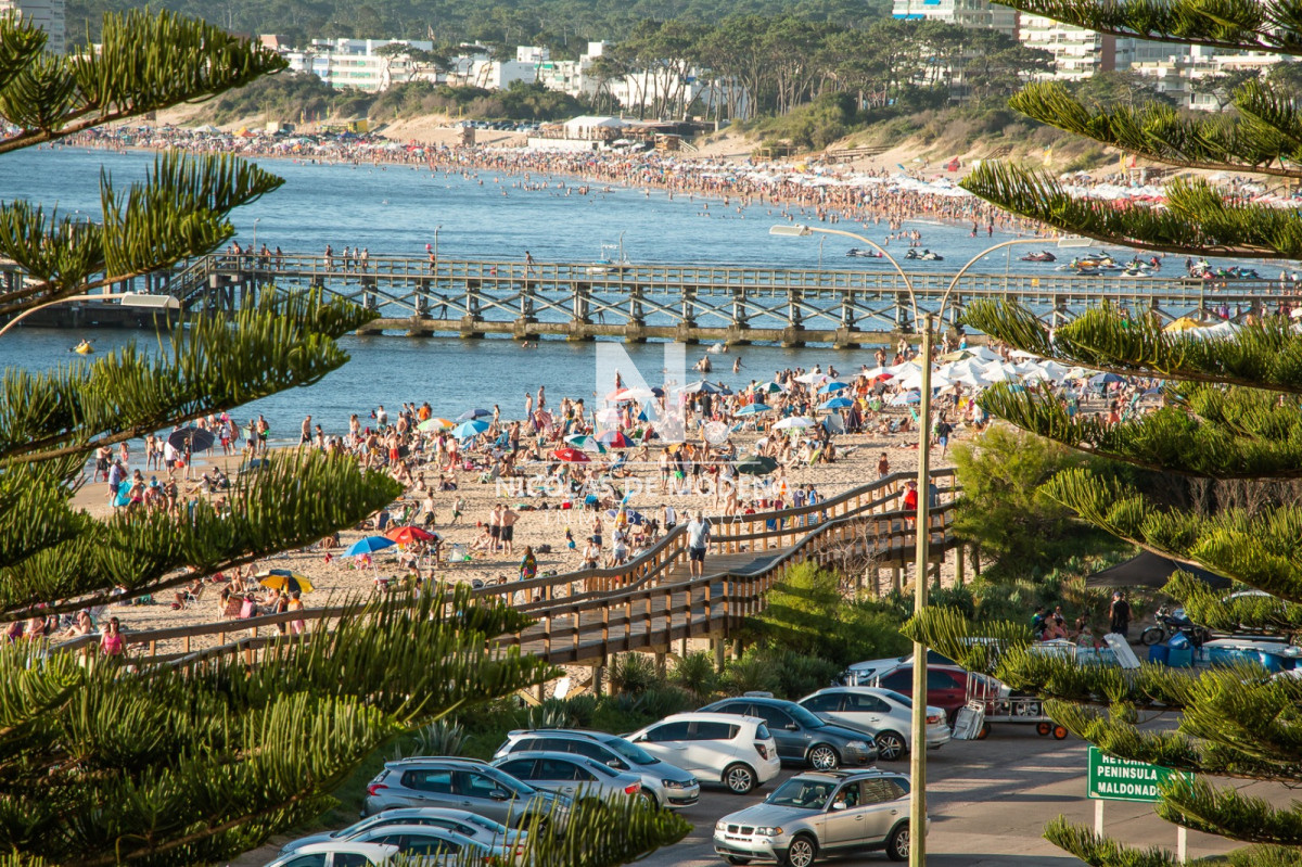 Mansa - GoPunta - Portal Inmobiliario de Punta del Este - Maldonado