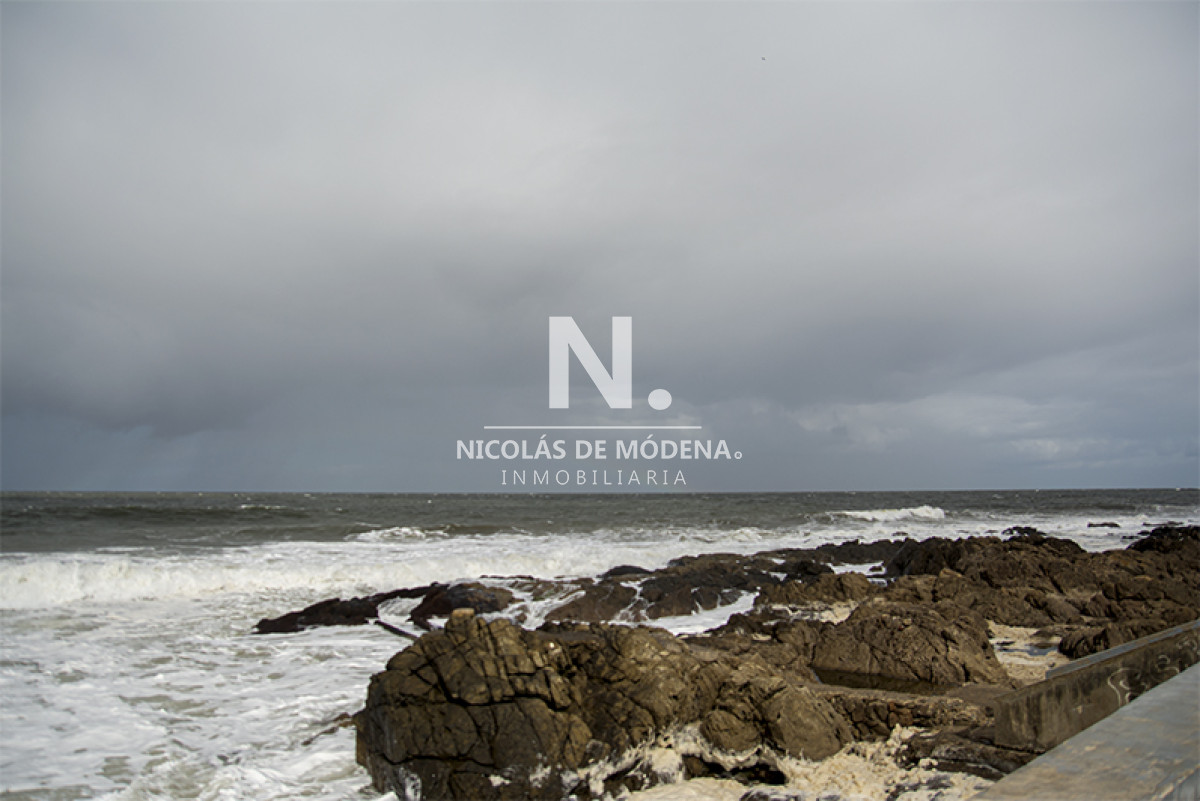 Punta del Este - GoPunta - Portal Inmobiliario de Punta del Este - Maldonado