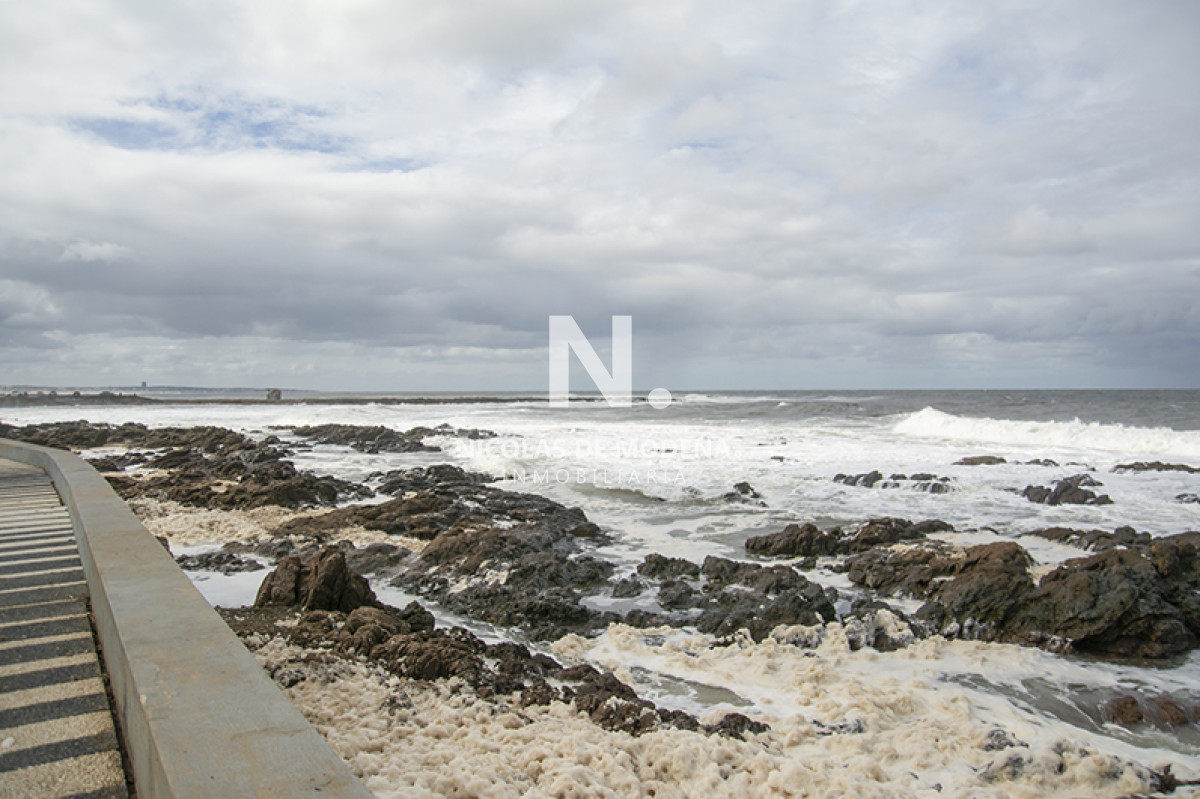 Punta del Este - GoPunta - Portal Inmobiliario de Punta del Este - Maldonado