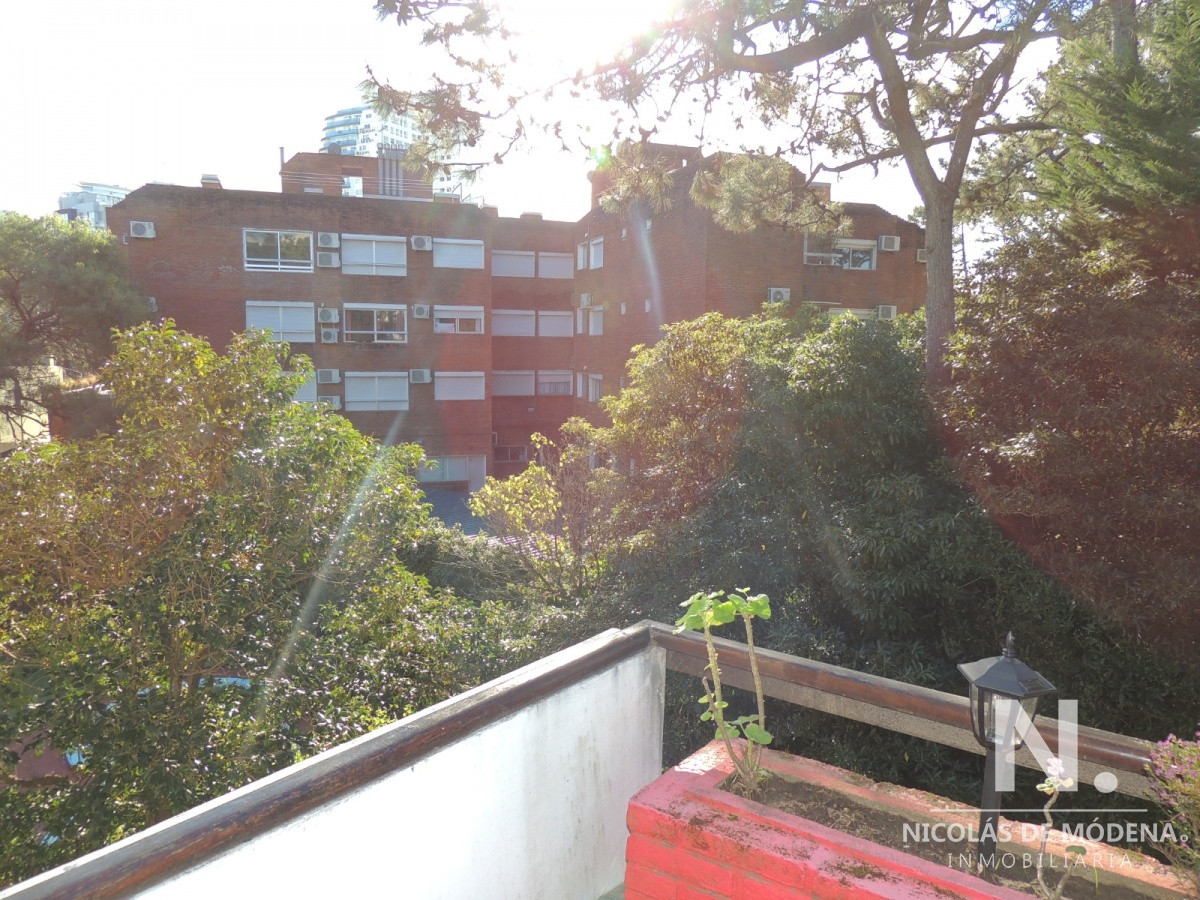 Aidy Grill - GoPunta - Portal Inmobiliario de Punta del Este - Maldonado