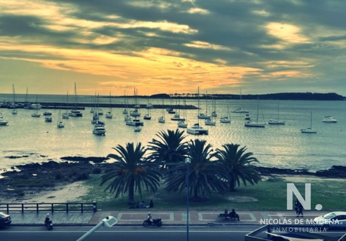 Península - GoPunta - Portal Inmobiliario de Punta del Este - Maldonado