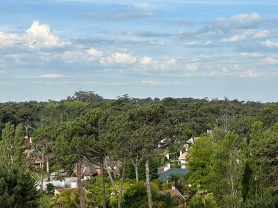 Apartamento 3 dormitorios en edificio de categoría en Punta del Este!