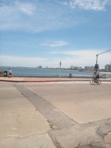 Apartamento Codigo #Departamento frente al mar de 3 dormitorios en venta