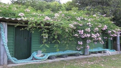 vende casa en lomo de la ballena, de 3 dormitorios con vista al mar. - ndm23164c