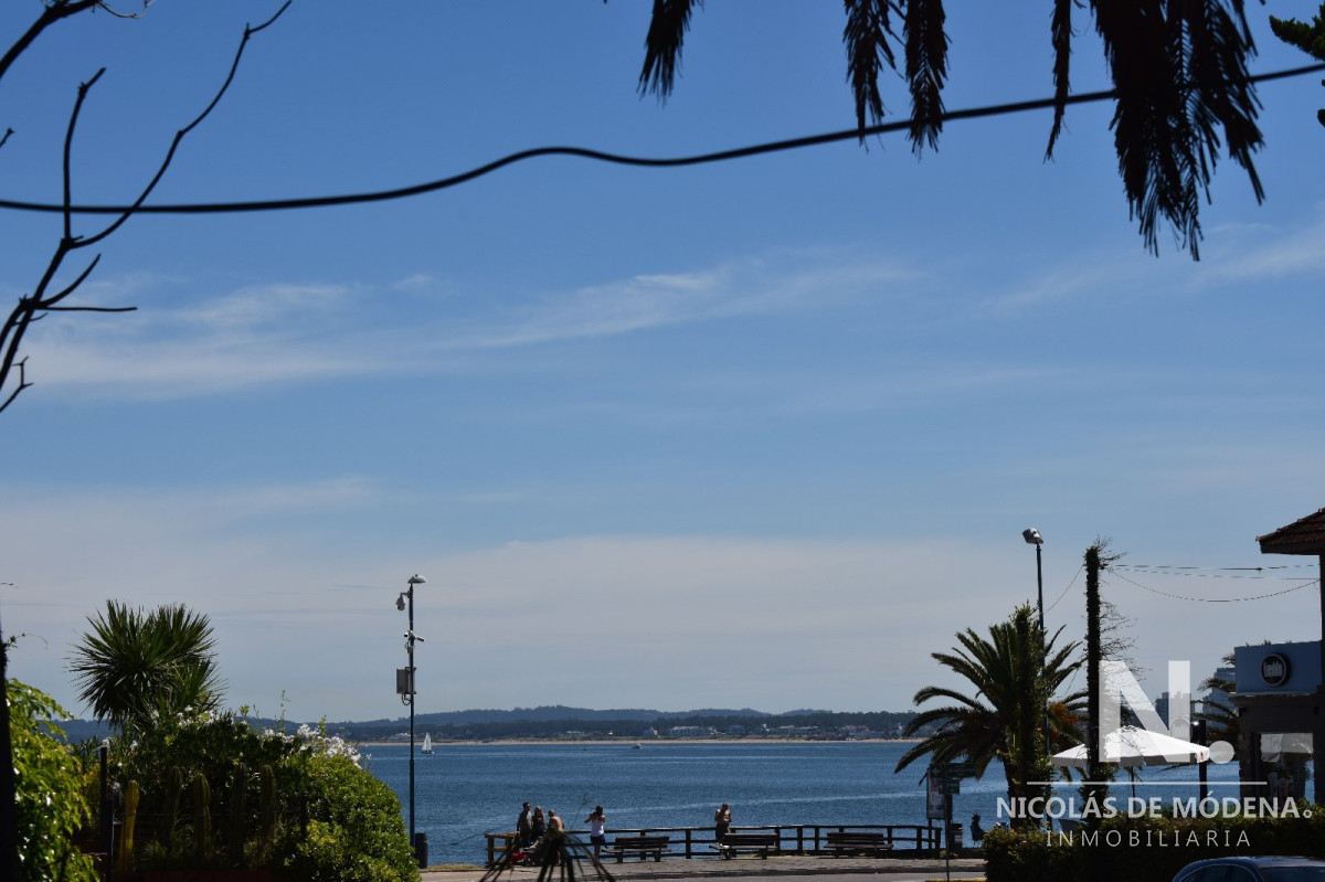Península - GoPunta - Portal Inmobiliario de Punta del Este - Maldonado