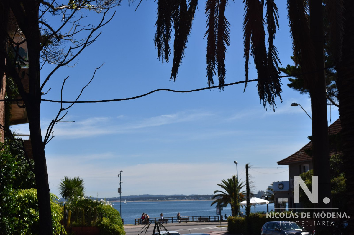 Península - GoPunta - Portal Inmobiliario de Punta del Este - Maldonado
