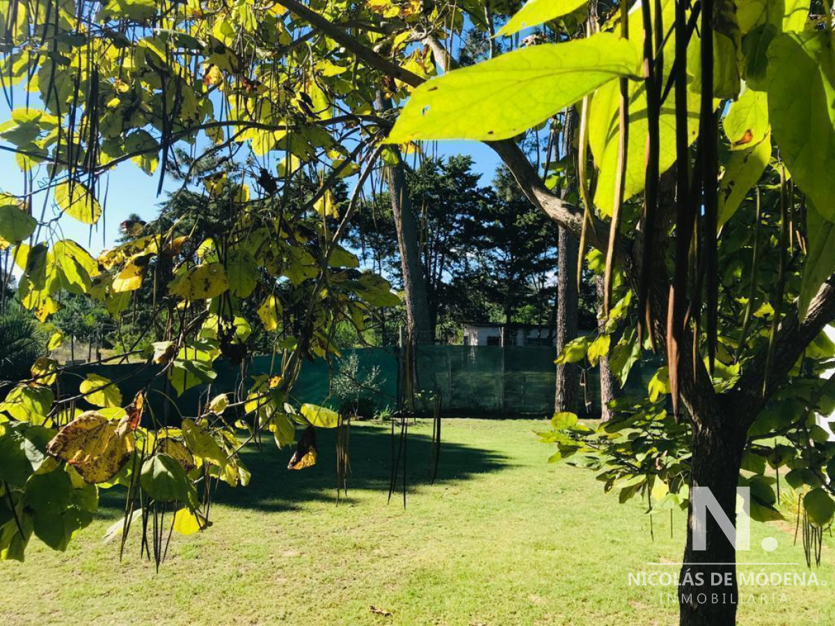 Vende casa de 3 dormitorios en Punta del Este - GoPunta - Portal Inmobiliario de Punta del Este - Maldonado