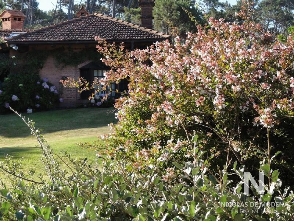 Montoya - GoPunta - Portal Inmobiliario de Punta del Este - Maldonado