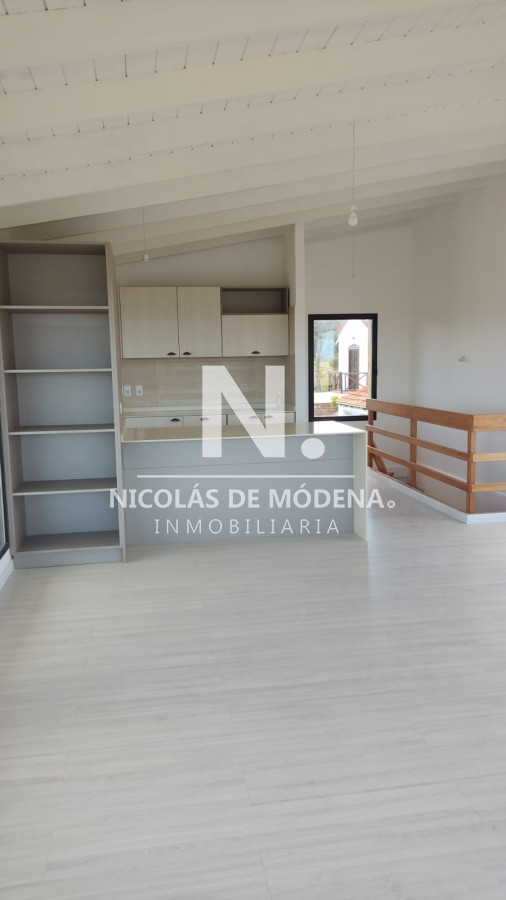 Chihuahua - GoPunta - Portal Inmobiliario de Punta del Este - Maldonado