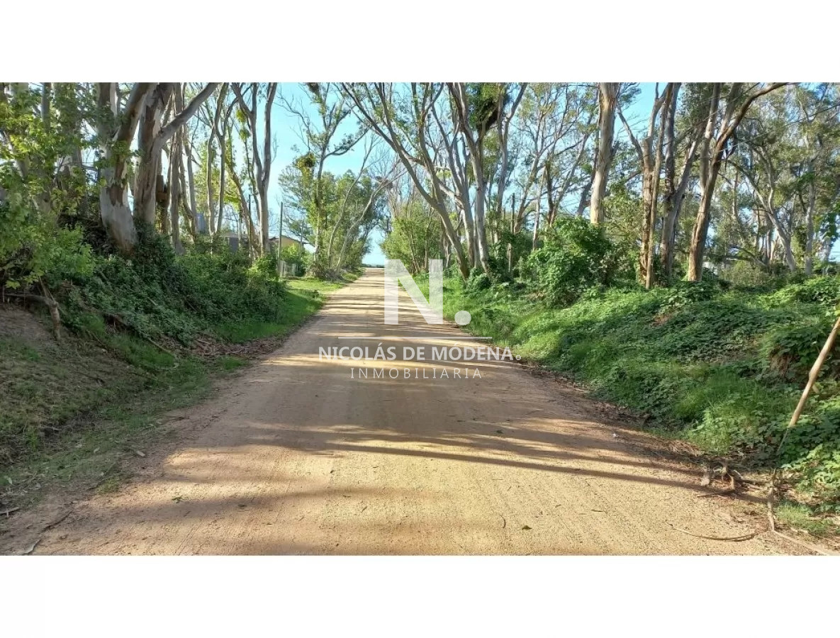 Balneario Buenos Aires - GoPunta - Portal Inmobiliario de Punta del Este - Maldonado