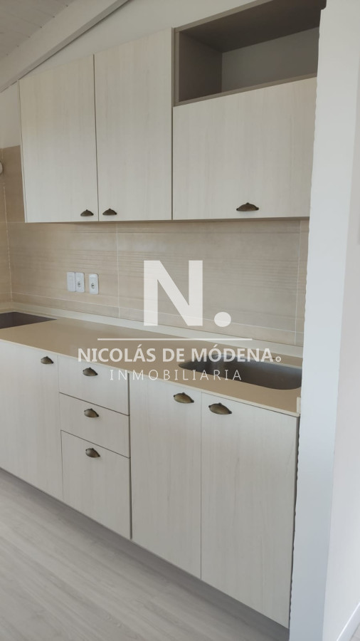 Chihuahua - GoPunta - Portal Inmobiliario de Punta del Este - Maldonado