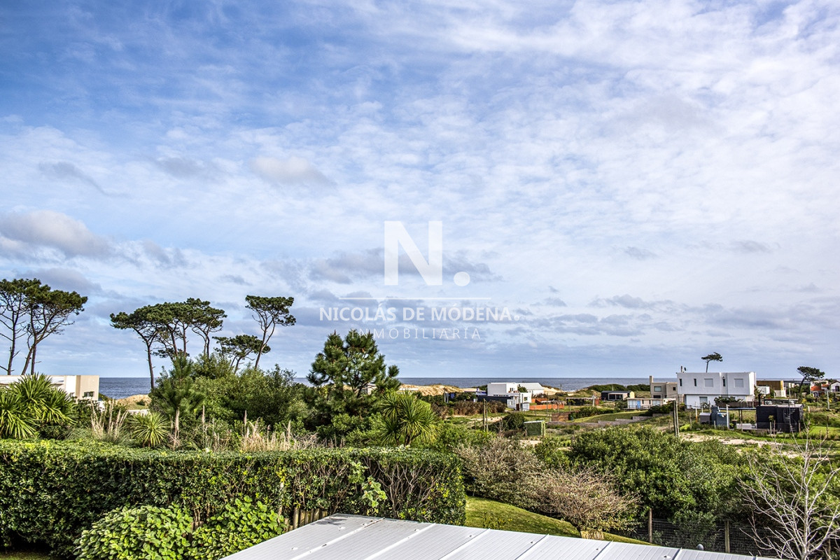 Chihuahua - GoPunta - Portal Inmobiliario de Punta del Este - Maldonado