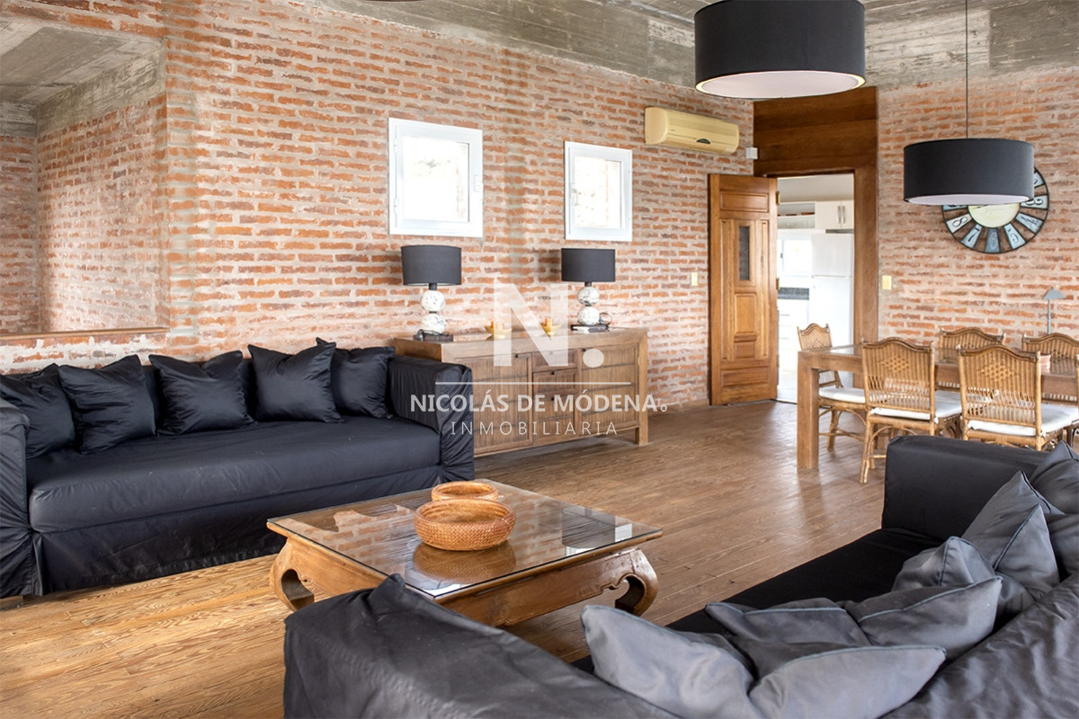 Chihuahua - GoPunta - Portal Inmobiliario de Punta del Este - Maldonado