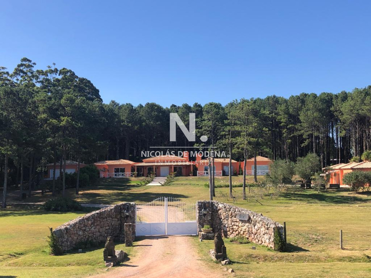 Camino Lussich - GoPunta - Portal Inmobiliario de Punta del Este - Maldonado