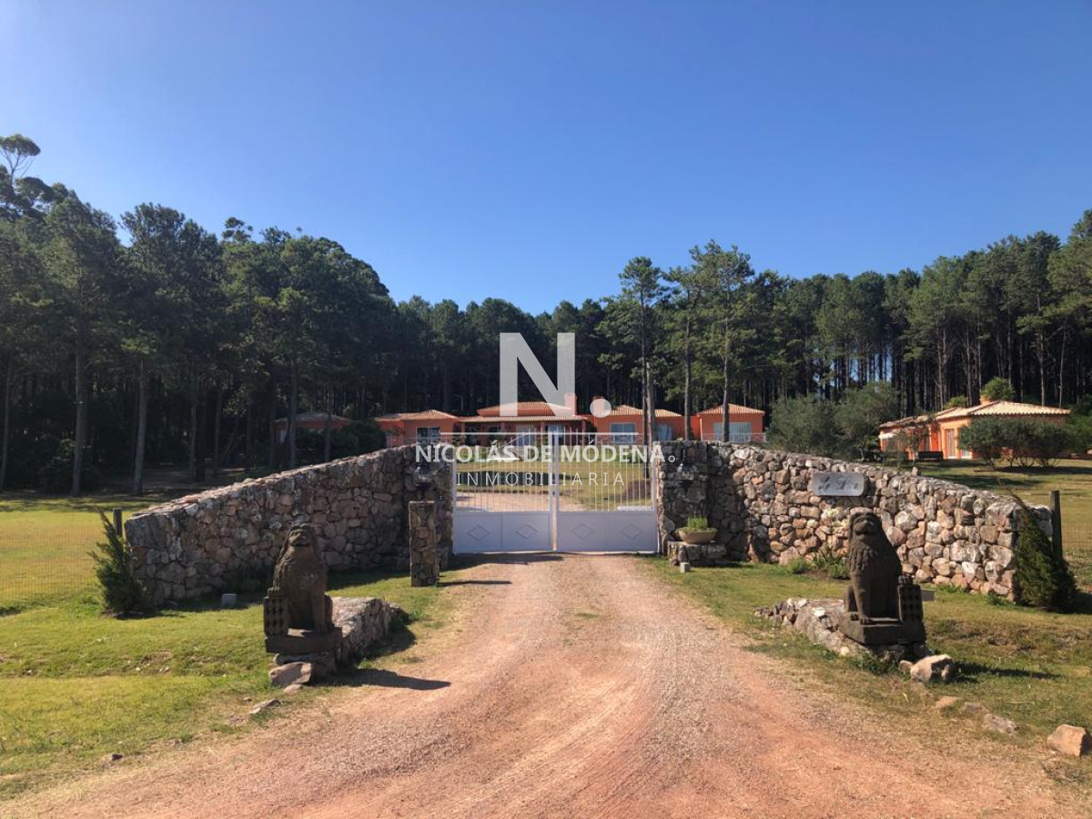 Camino Lussich - GoPunta - Portal Inmobiliario de Punta del Este - Maldonado