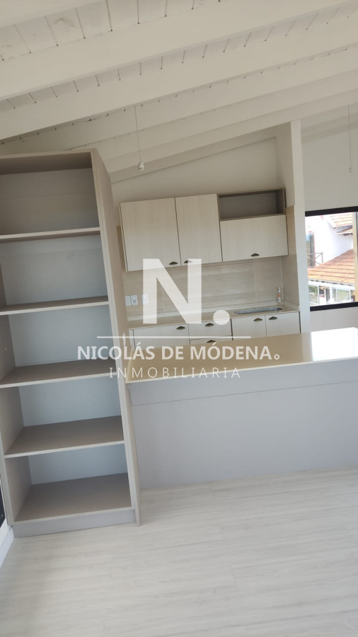 Chihuahua - GoPunta - Portal Inmobiliario de Punta del Este - Maldonado
