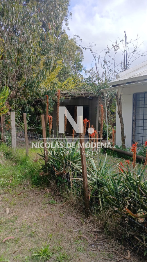 Santa Monica - GoPunta - Portal Inmobiliario de Punta del Este - Maldonado
