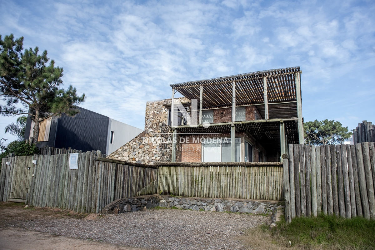 Chihuahua - GoPunta - Portal Inmobiliario de Punta del Este - Maldonado