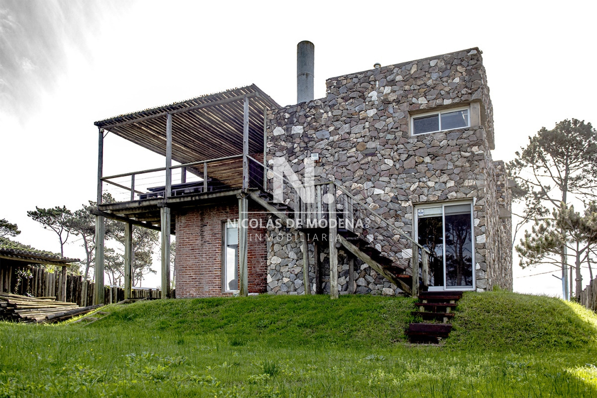 Chihuahua - GoPunta - Portal Inmobiliario de Punta del Este - Maldonado