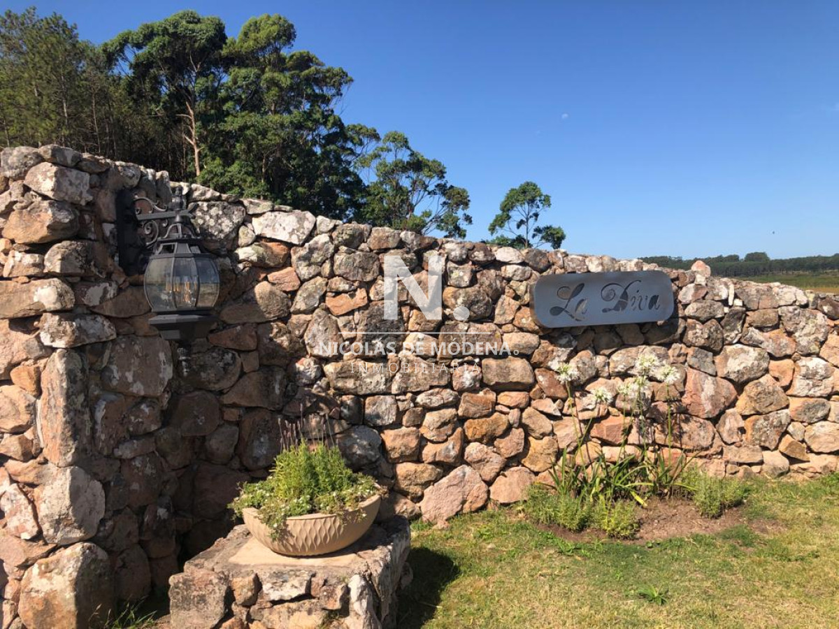 Camino Lussich - GoPunta - Portal Inmobiliario de Punta del Este - Maldonado