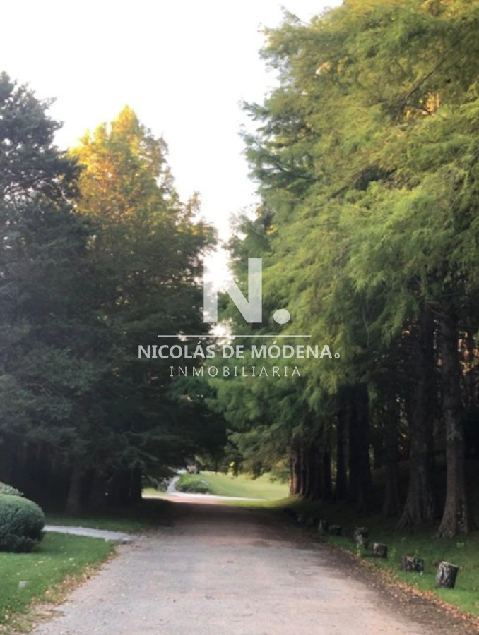 Lugano - GoPunta - Portal Inmobiliario de Punta del Este - Maldonado