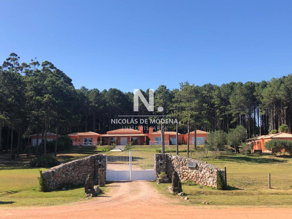 Camino Lussich - GoPunta - Portal Inmobiliario de Punta del Este - Maldonado