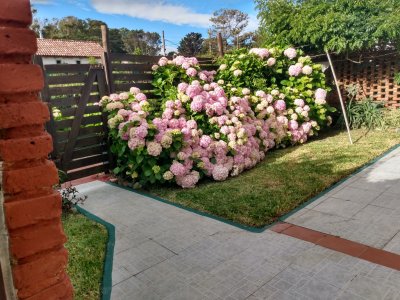 Casa en Punta Colorada