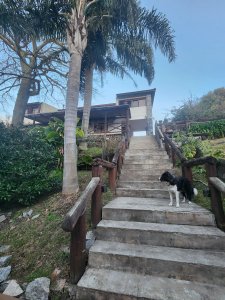 Vende casa en Barrio Jaurena, Maldonado de 6 dormitorios