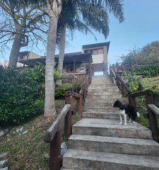 Vende casa en Barrio Jaurena, Maldonado de 6 dormitorios