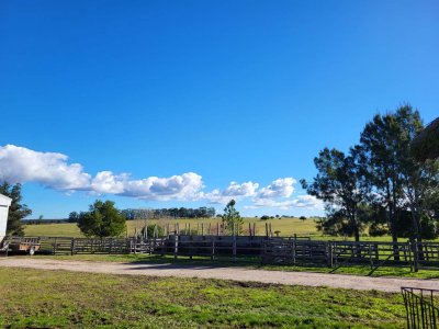 chacra en pueblo eden  - ndm23519h